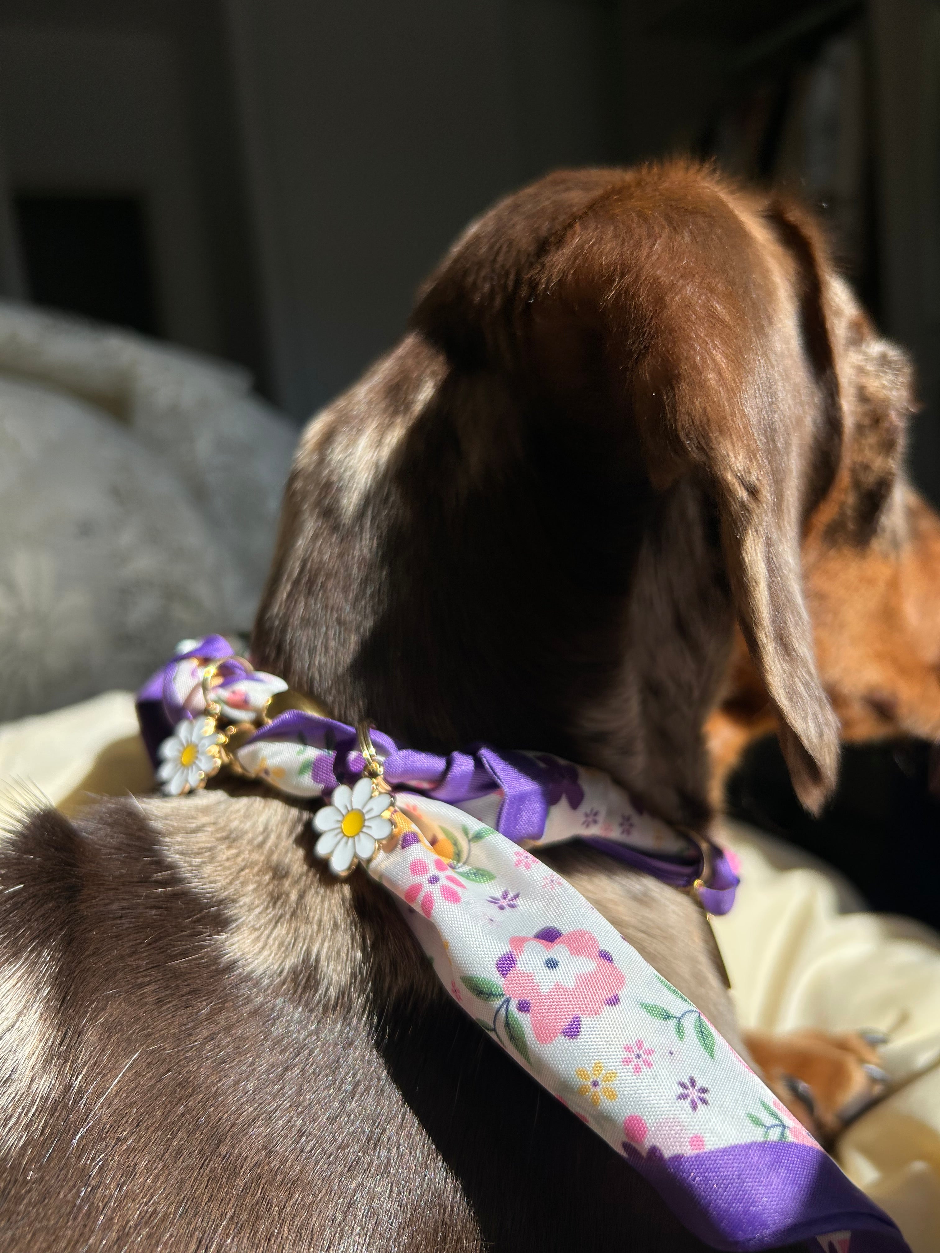 Nilla - Collier foulard