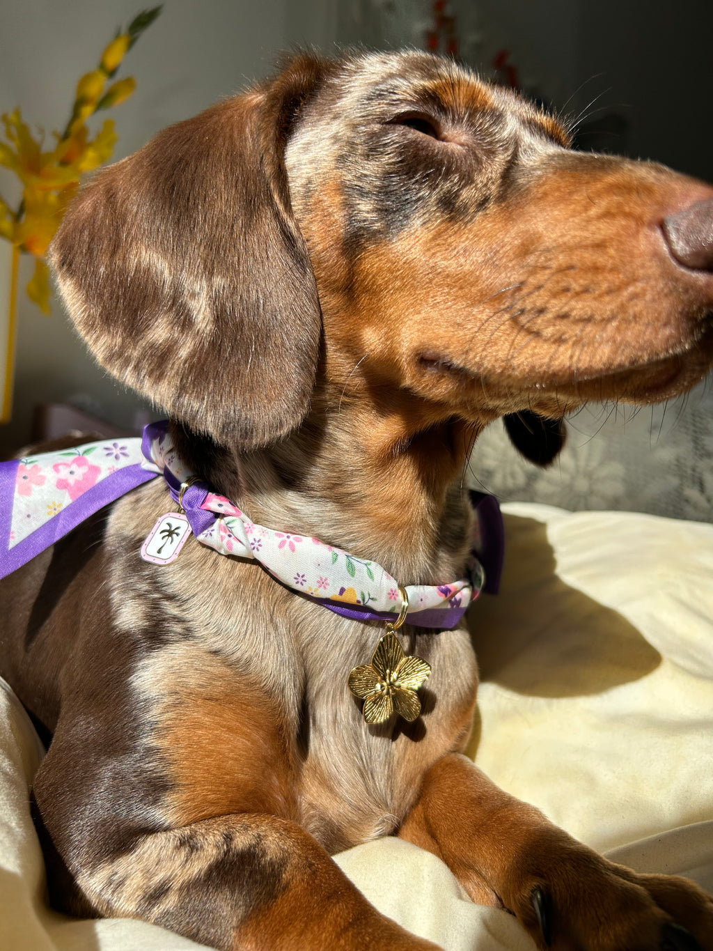 Nilla - Collier foulard