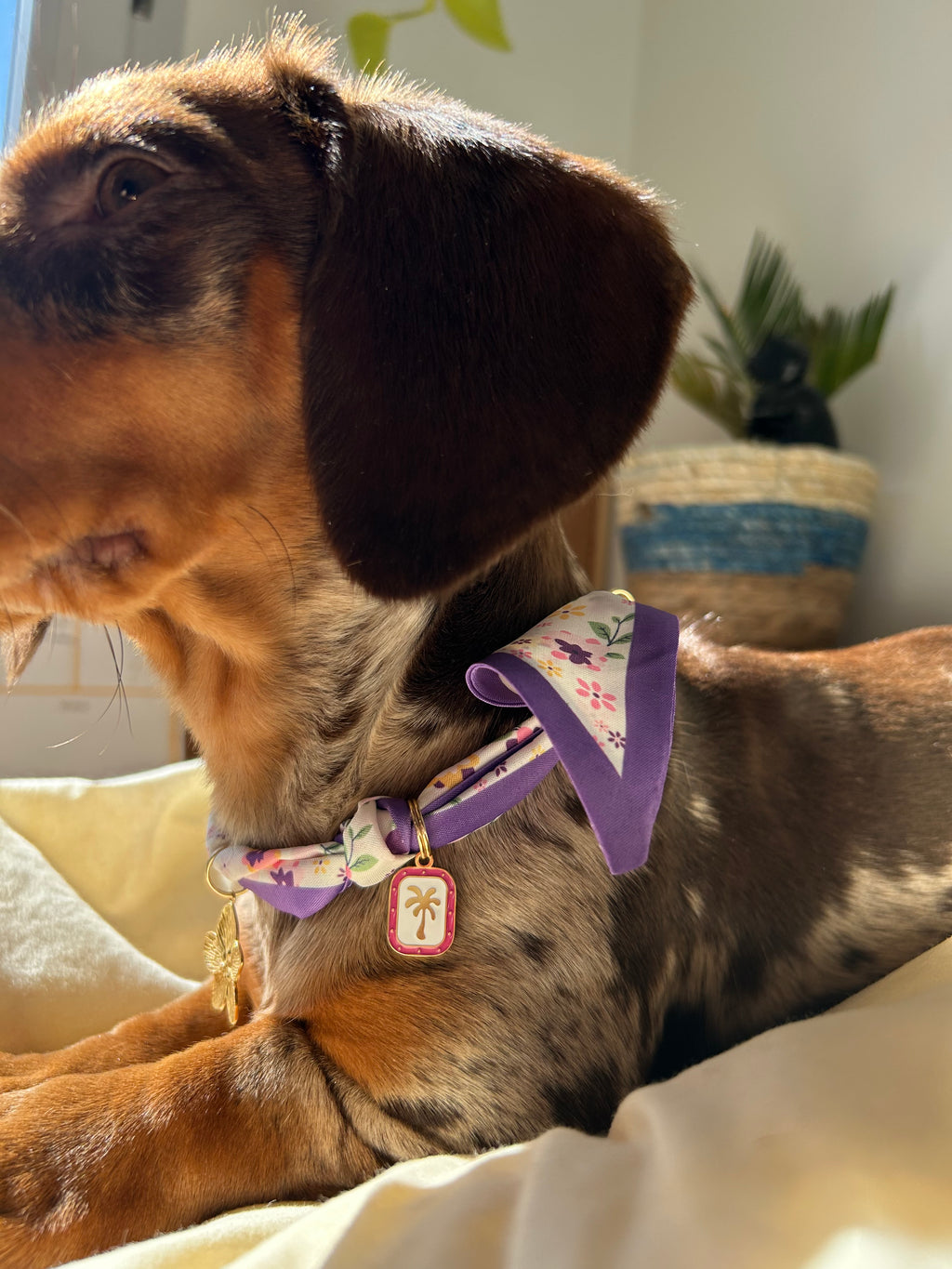 Nilla - Collier foulard