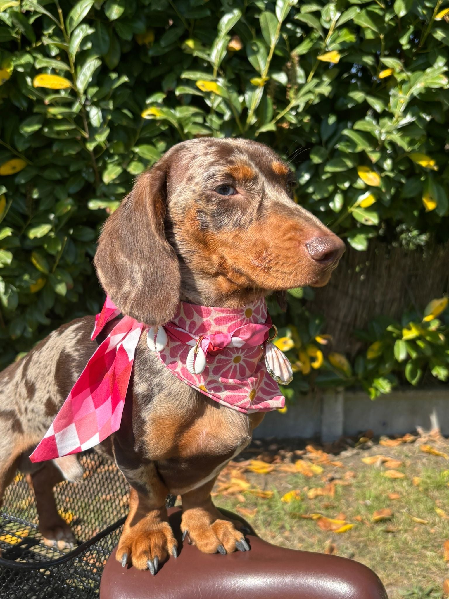 Una - Collier foulard