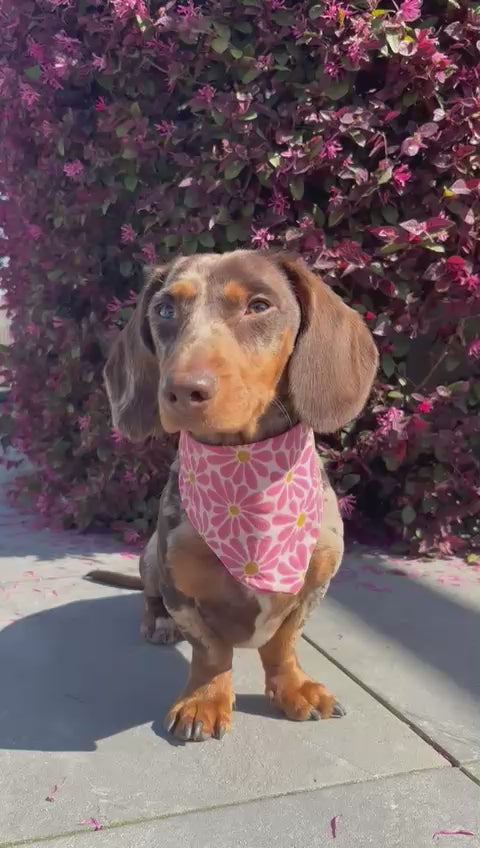 Alba - Bandana fait main & sur mesure