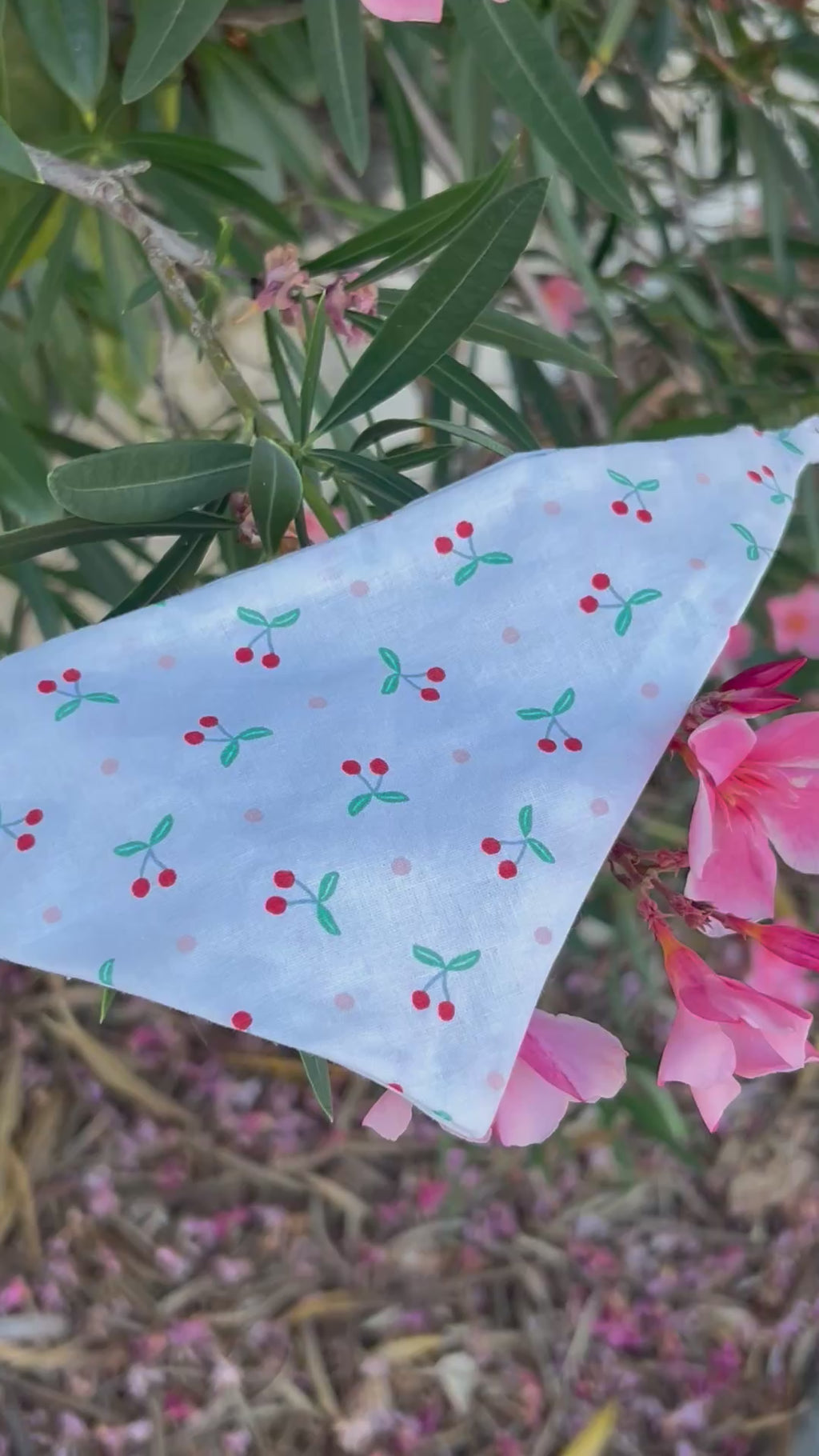 Bandana Cherry Beach 🍒