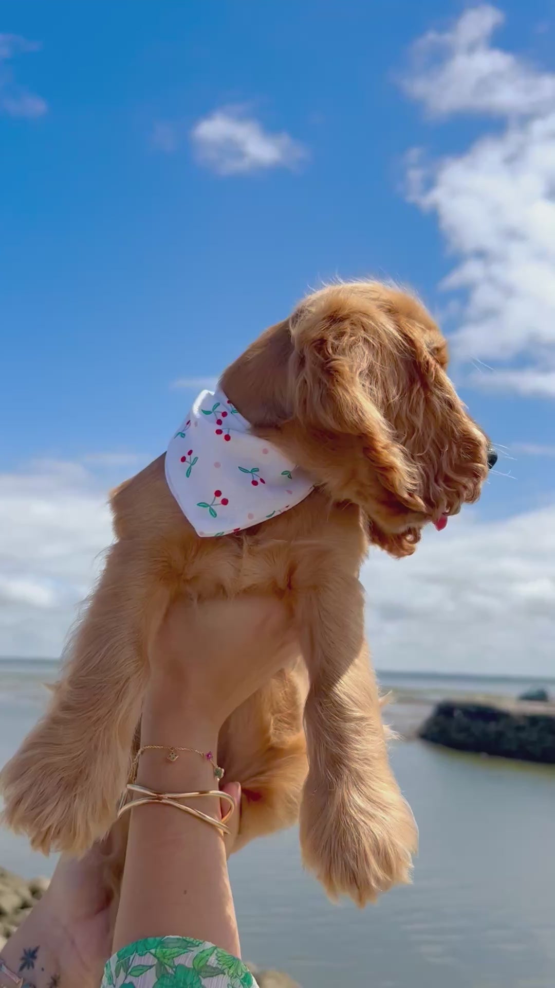Bandana Cherry Beach 🍒